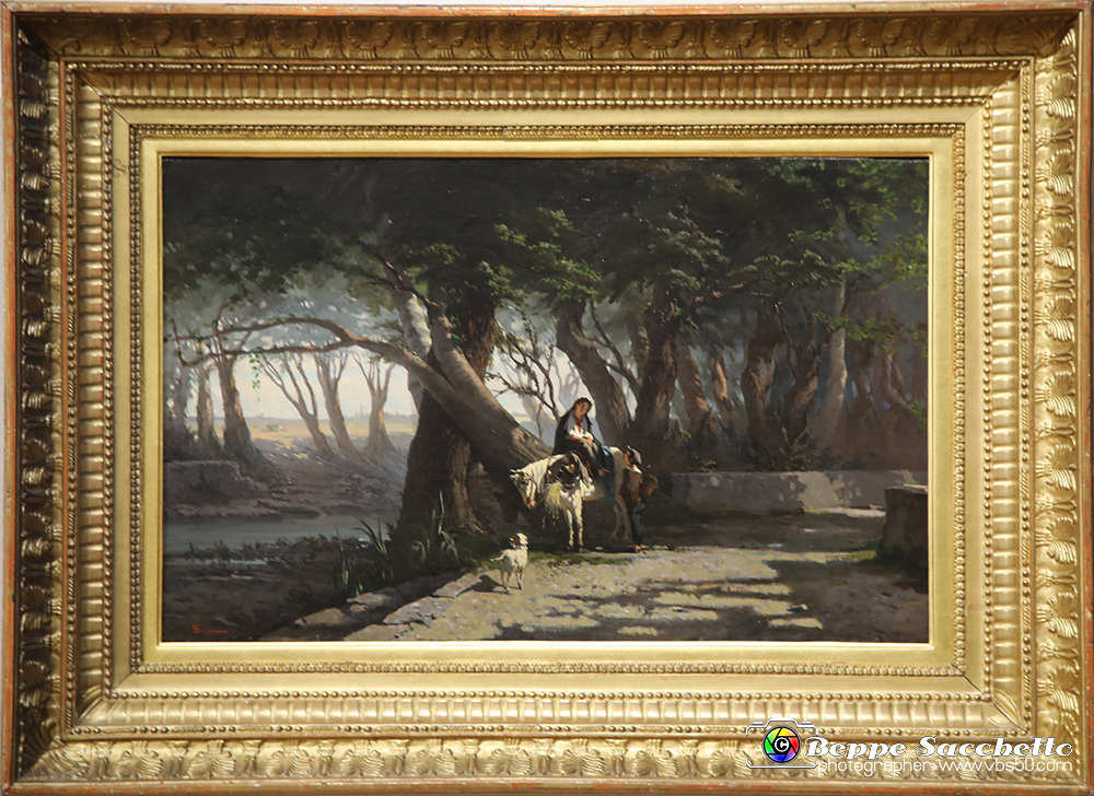 VBS_9578 - Mostra I Macchiaioli - Telemaco Signorini - L’Ardenza (Albereta ad Antignano), 1859-1861.jpg